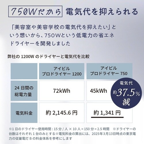 アイビル プロドライヤー750 ホワイト