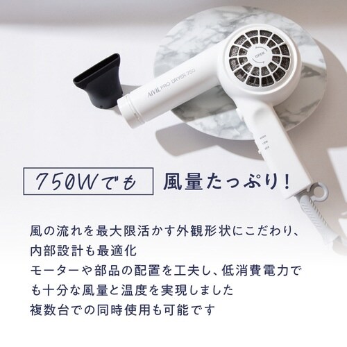 アイビル プロドライヤー750 ホワイト