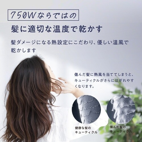 アイビル プロドライヤー750 ホワイト