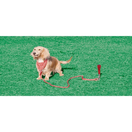 わんわんスティック