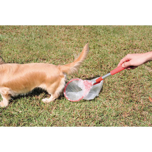 わんわんエチケット