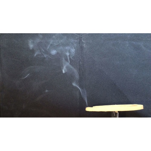 獣よけ線香 20巻入