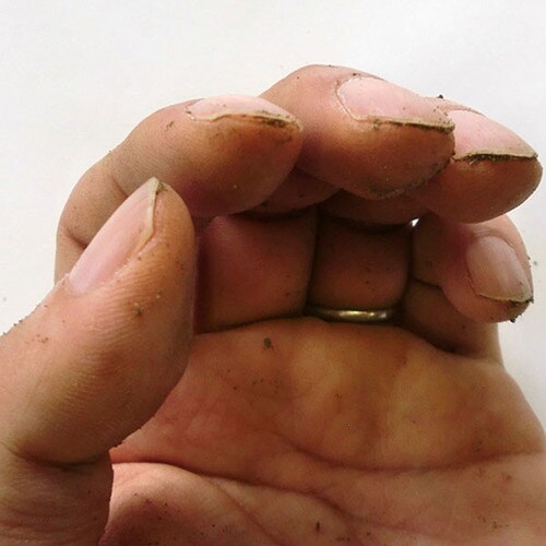 業務用手洗いブラシ ENB140