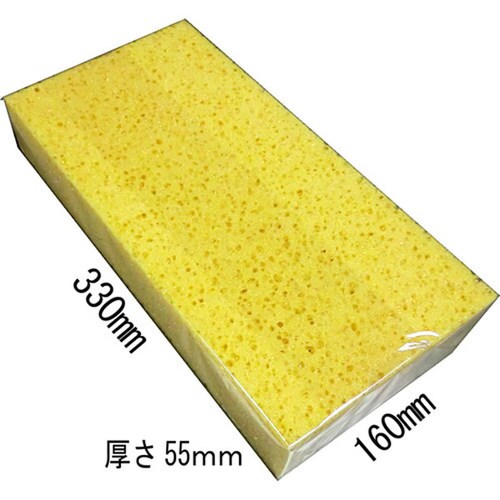 特大スポンジ NO1