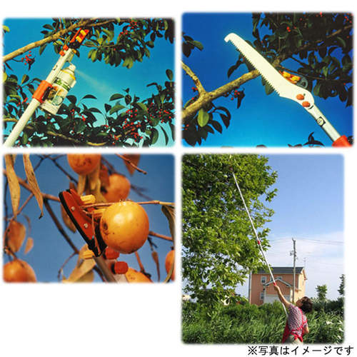 スプレー缶付き高枝切りハサミ 3M