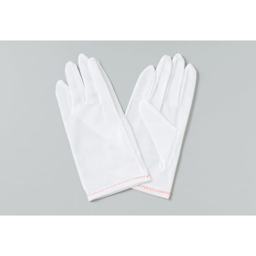 防塵手袋 6007 サイズL 10双入