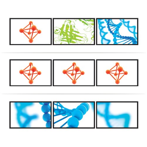ディスプレイポート分配器 4K3分配 DP1.2