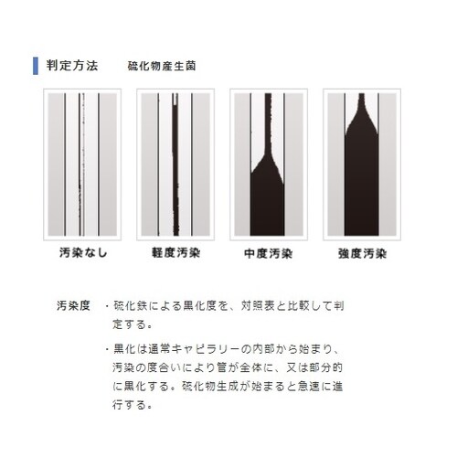 バイオチェッカ− S 9本入
