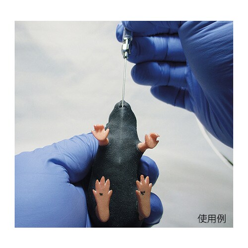 実習用動物シミュレ−タ rrrmm01