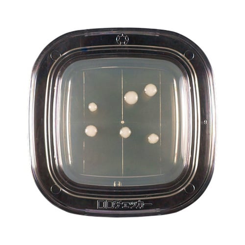 【冷蔵】04300 サブロー寒天 20枚×2