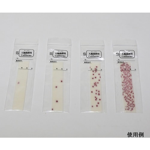 【冷蔵】サンコリ簡易菌検出紙00001大腸菌群用