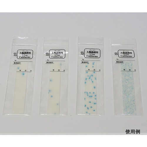 【冷蔵】簡易菌検出紙00006大腸菌群XTYPE