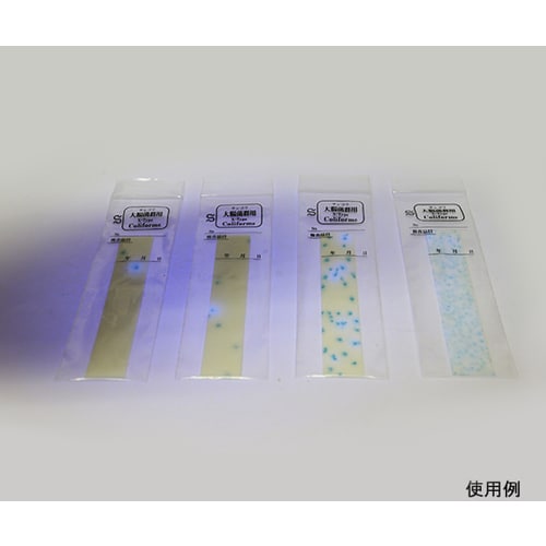【冷蔵】簡易菌検出紙00006大腸菌群XTYPE