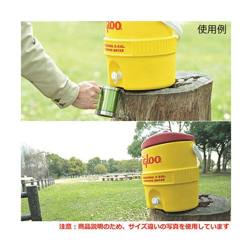 #431(YE/RE) ウォータージャグ