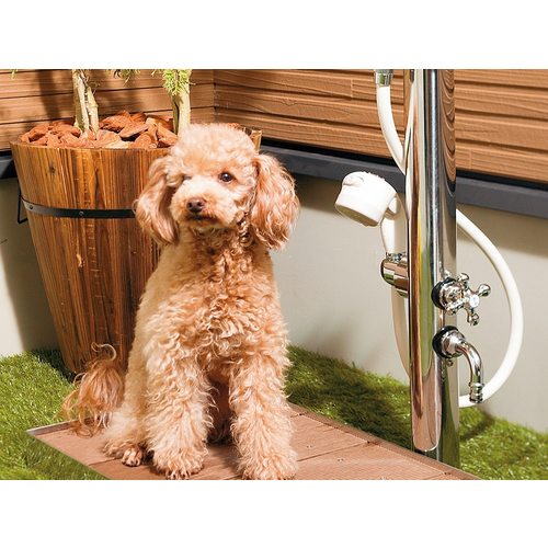 624ー216 ステンレス双口シャワー混合栓柱