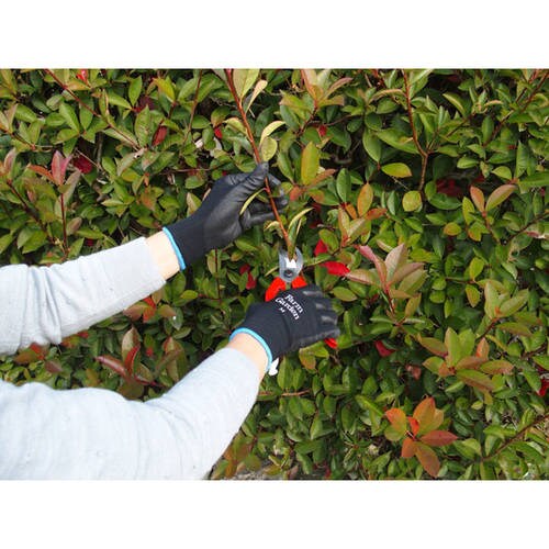 GS 菜果グローブ(M) ブラック