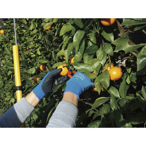 GS 菜果グローブ(S) ブルー