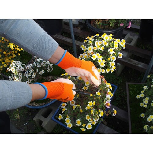 GS 菜果グローブ(S) オレンジ