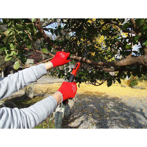 GS 農園芸グローブ(M)レッド