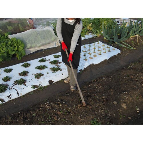 GS 農園芸グローブ(M)レッド