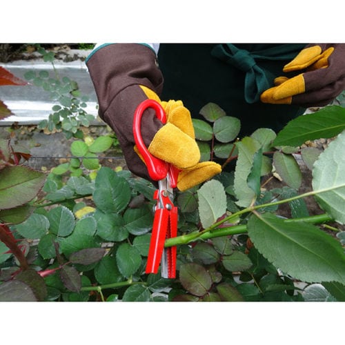 GS #2319 キリ娘 万能鋏 カット&キャッチ