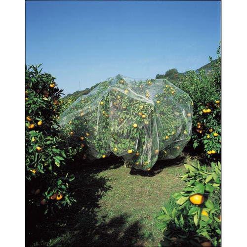 果樹すっぽり防鳥ネット