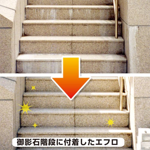 復活洗浄剤 エフロ用 300ML