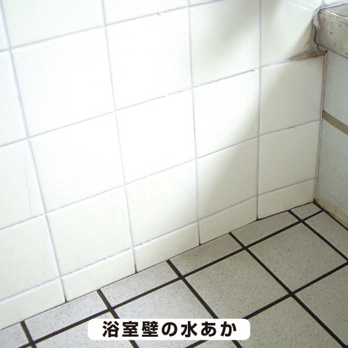 復活洗浄剤 浴室浴槽クリーナー 100ML