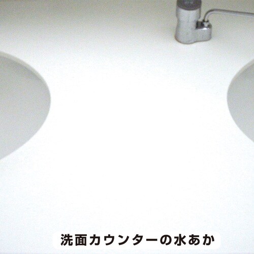 復活洗浄剤 洗面化粧台クリーナー 100ML