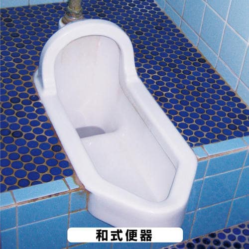 復活洗浄剤 トイレ陶器クリーナー 100ML