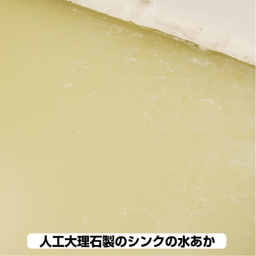 復活洗浄剤 ステンレスシンククリーナー 100ML