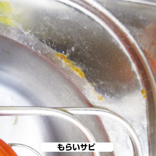 復活洗浄剤 ステンレスシンククリーナー 100ML