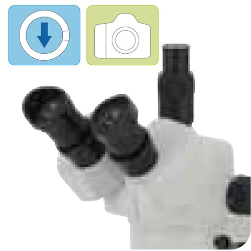 ズーム実体顕微鏡 DSZT−44PF15−260