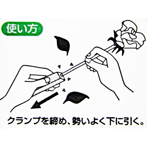 GC 薔薇トゲ抜き