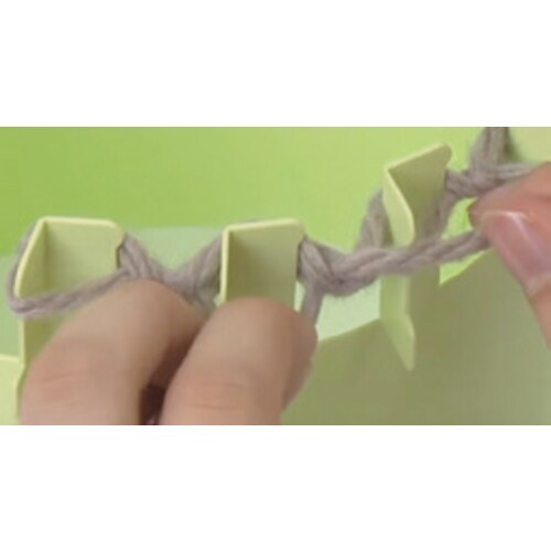 くだものタワシツールキット×6