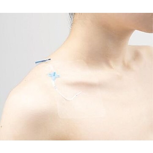 カテリープラス