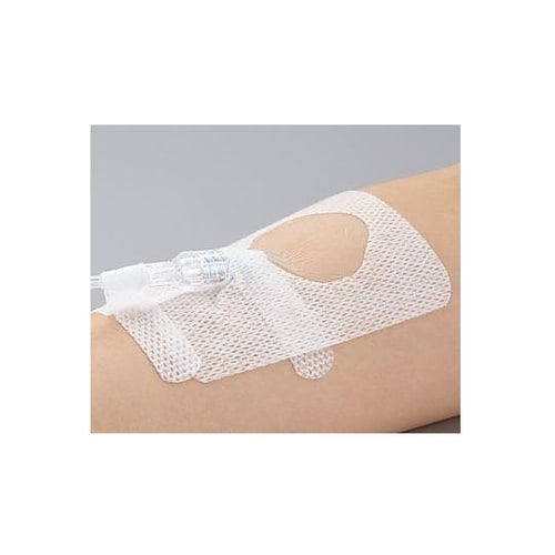 カテリープラス(TM)I.V.