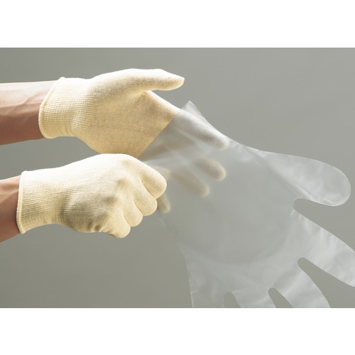 インナー手袋(綿シームレス/20枚)フリー