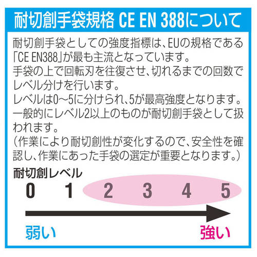 ܁iEPu[j