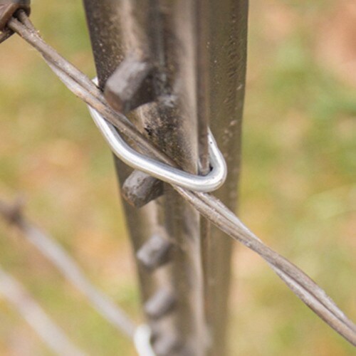 T型ポストクリップ(100個入)