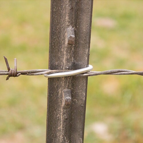 T型ポストクリップ(100個入)