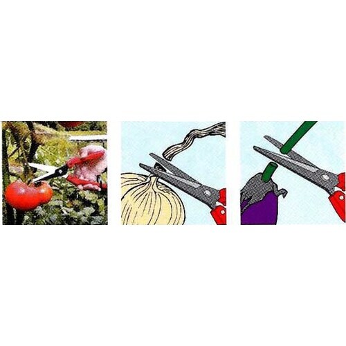 はさみ・採取210mm