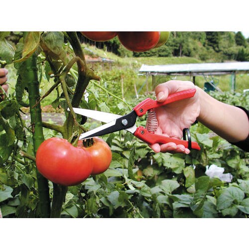 はさみ・採取210mm