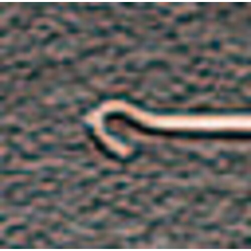 スプリングツール(Heavy EA566CD−1