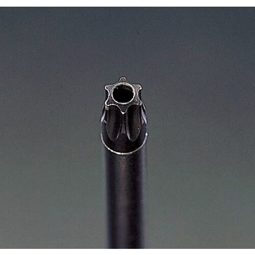 BoreTorxドライバーT9x60