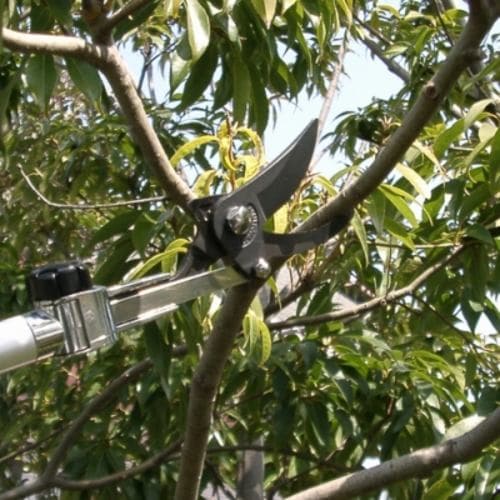 高枝鋏(剪定型・伸縮柄/刃長60)1.8−3.0m