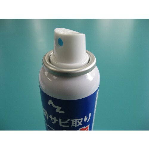 錆除り(ムースタイプ)100ml