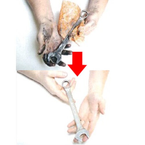 ウェットタオル(洗剤付/100枚)260X270