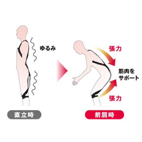 腰部サポートウェア(ラクニエ)166−175cm