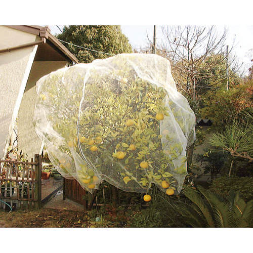 鳥よけネット2.0x50m